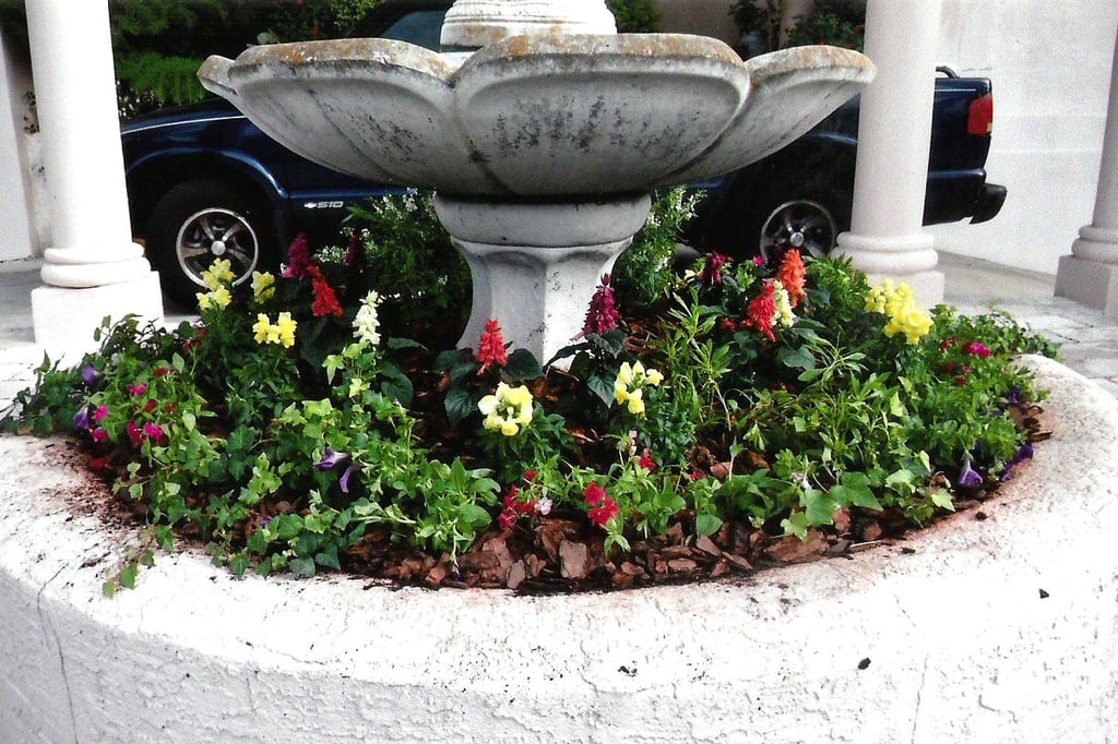 Container garden arrangement