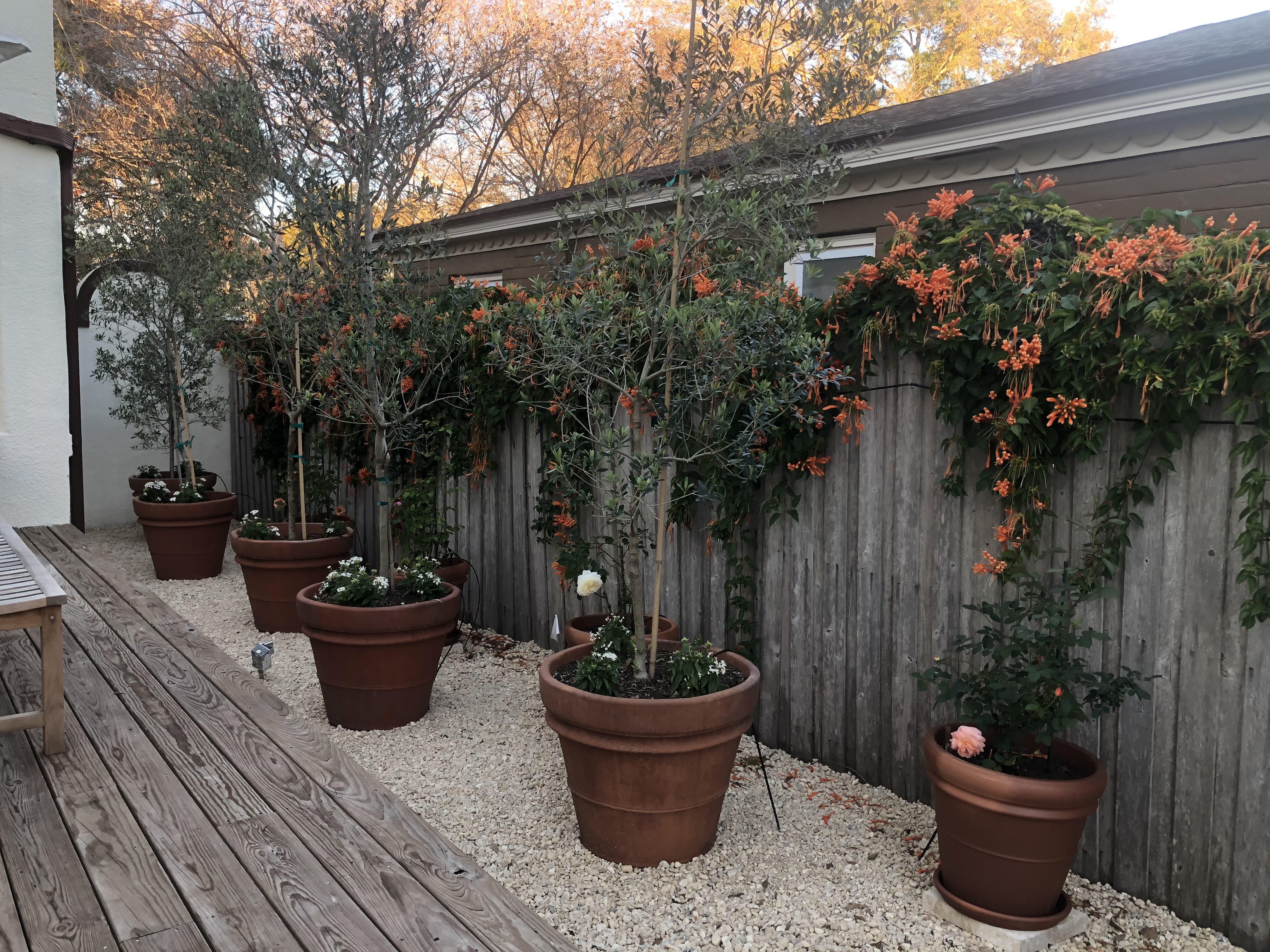 Container garden design