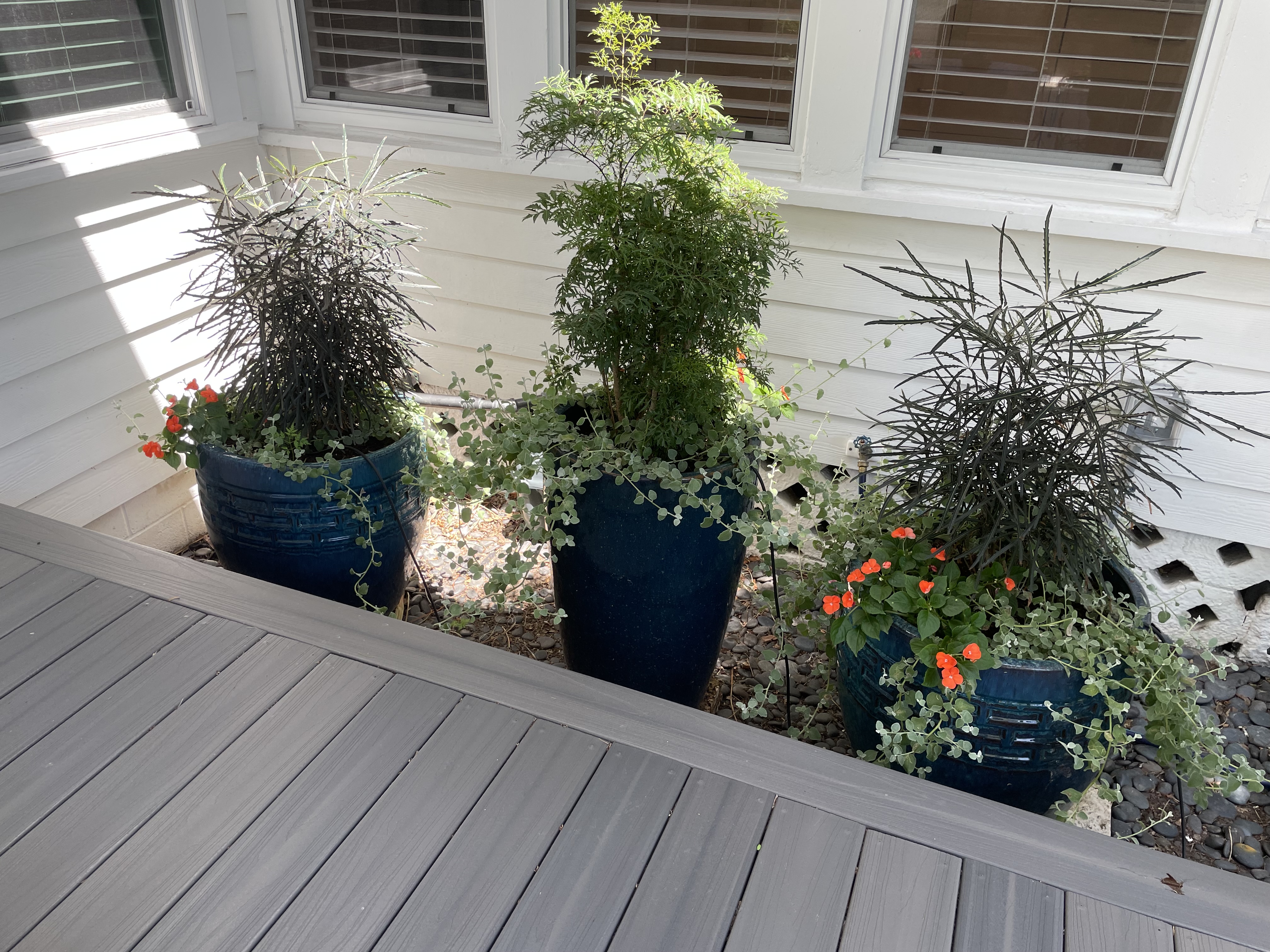 Container garden design