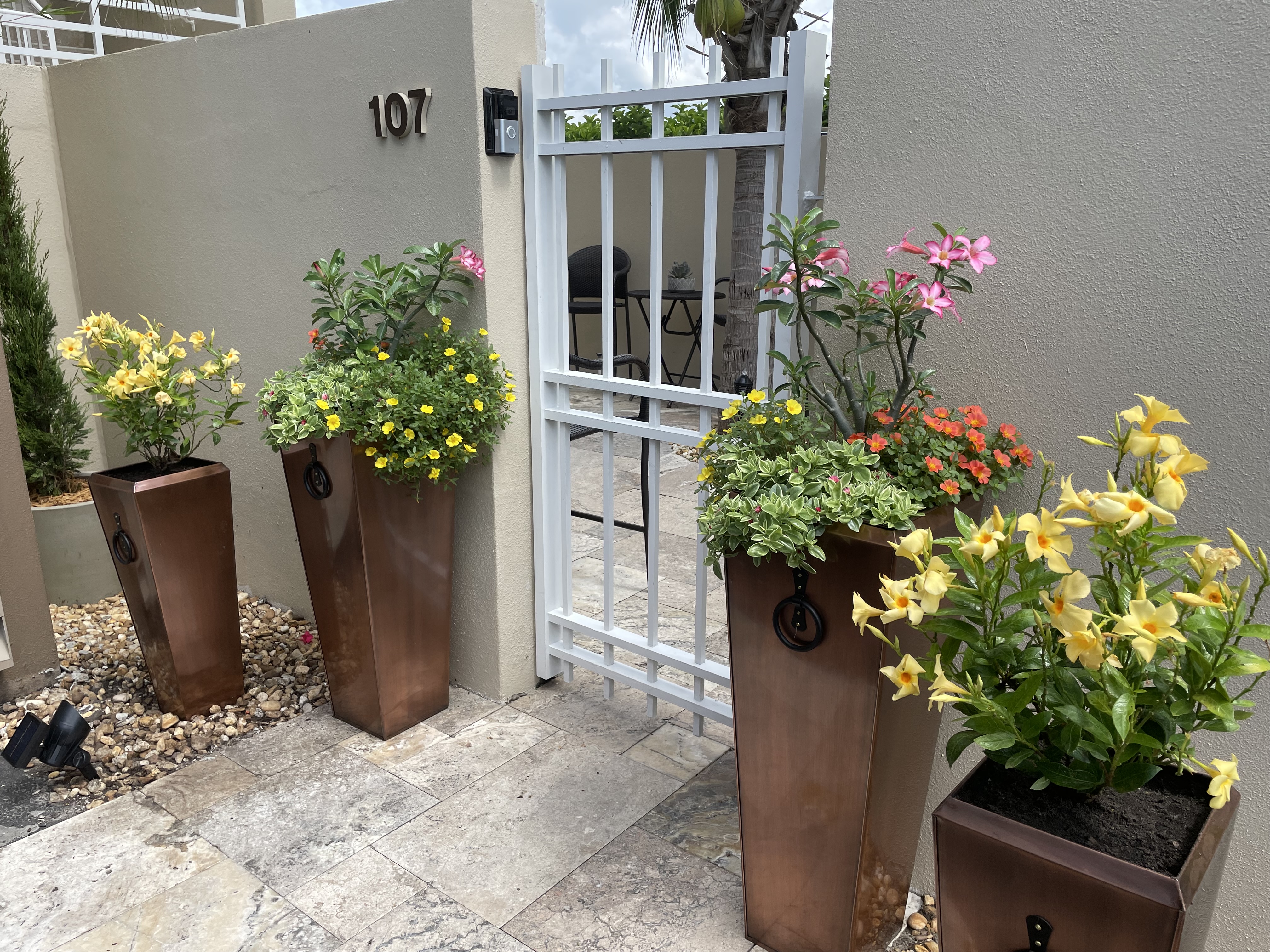 Container garden design