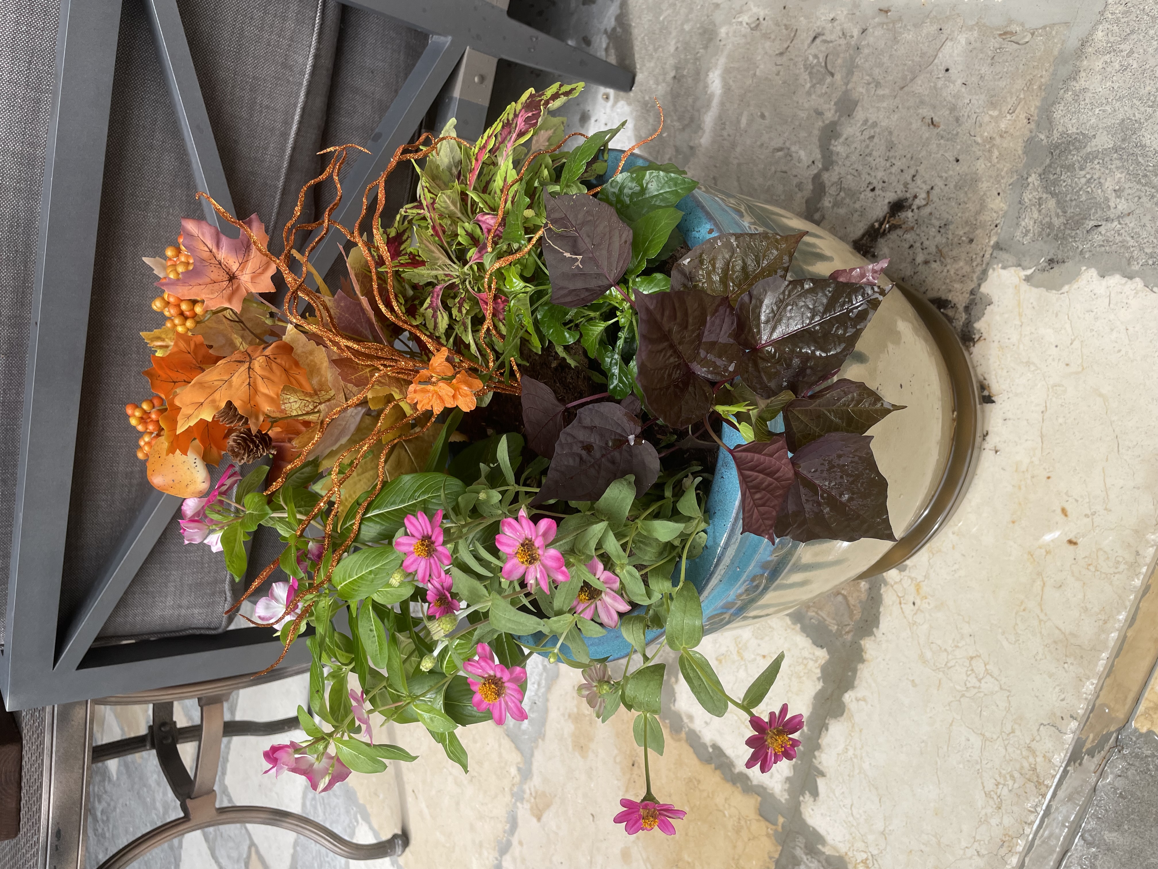 Container garden design