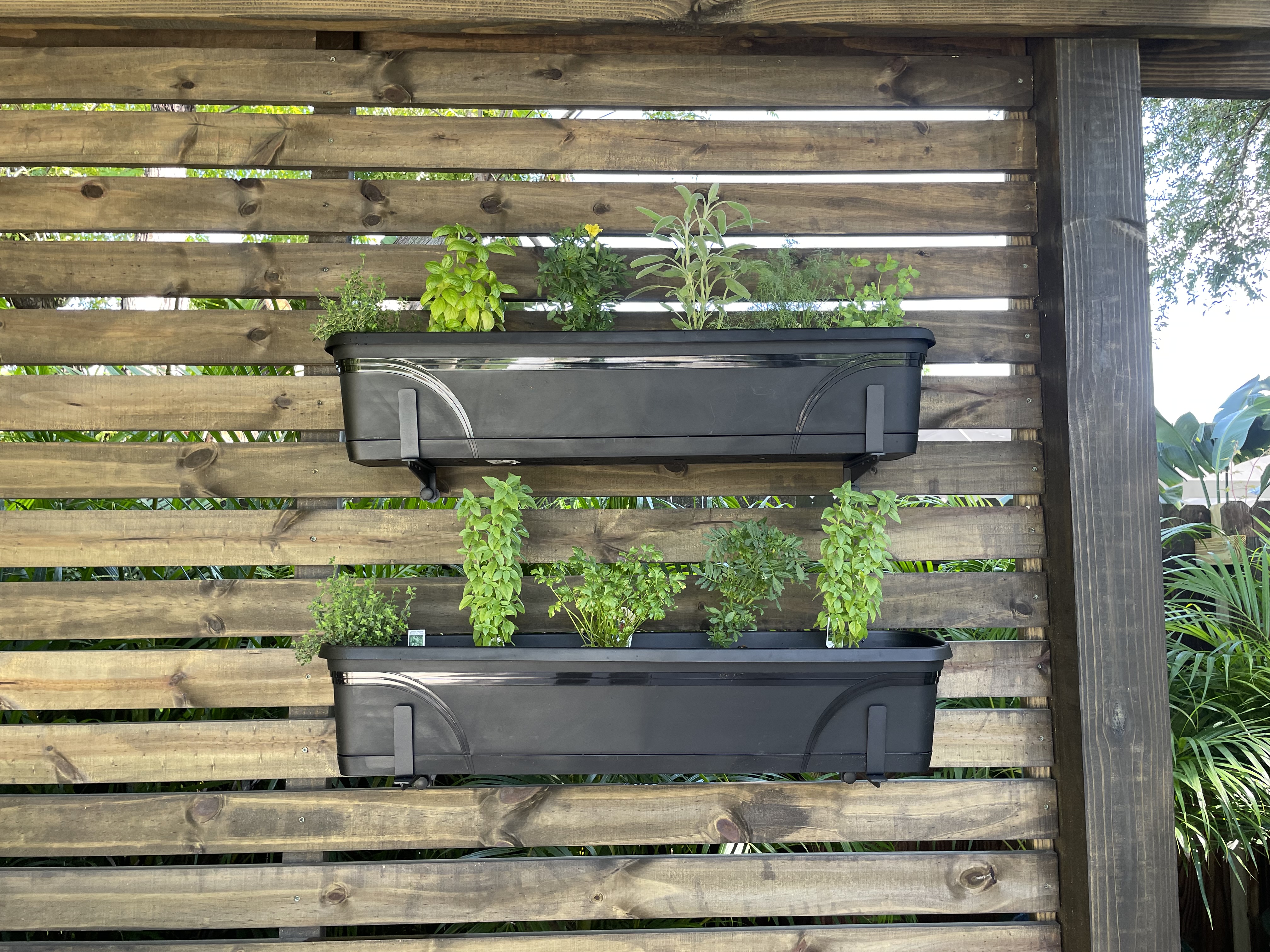 Container garden design
