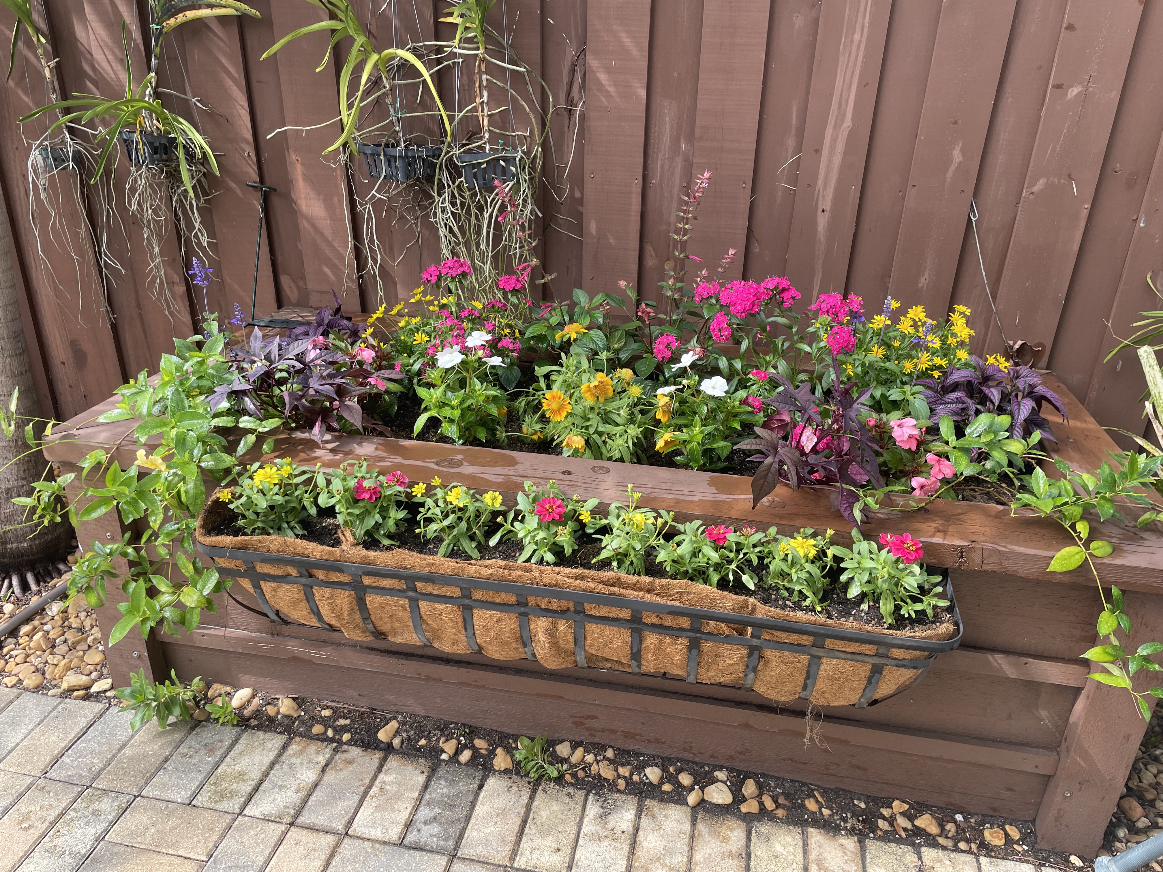 Container garden design