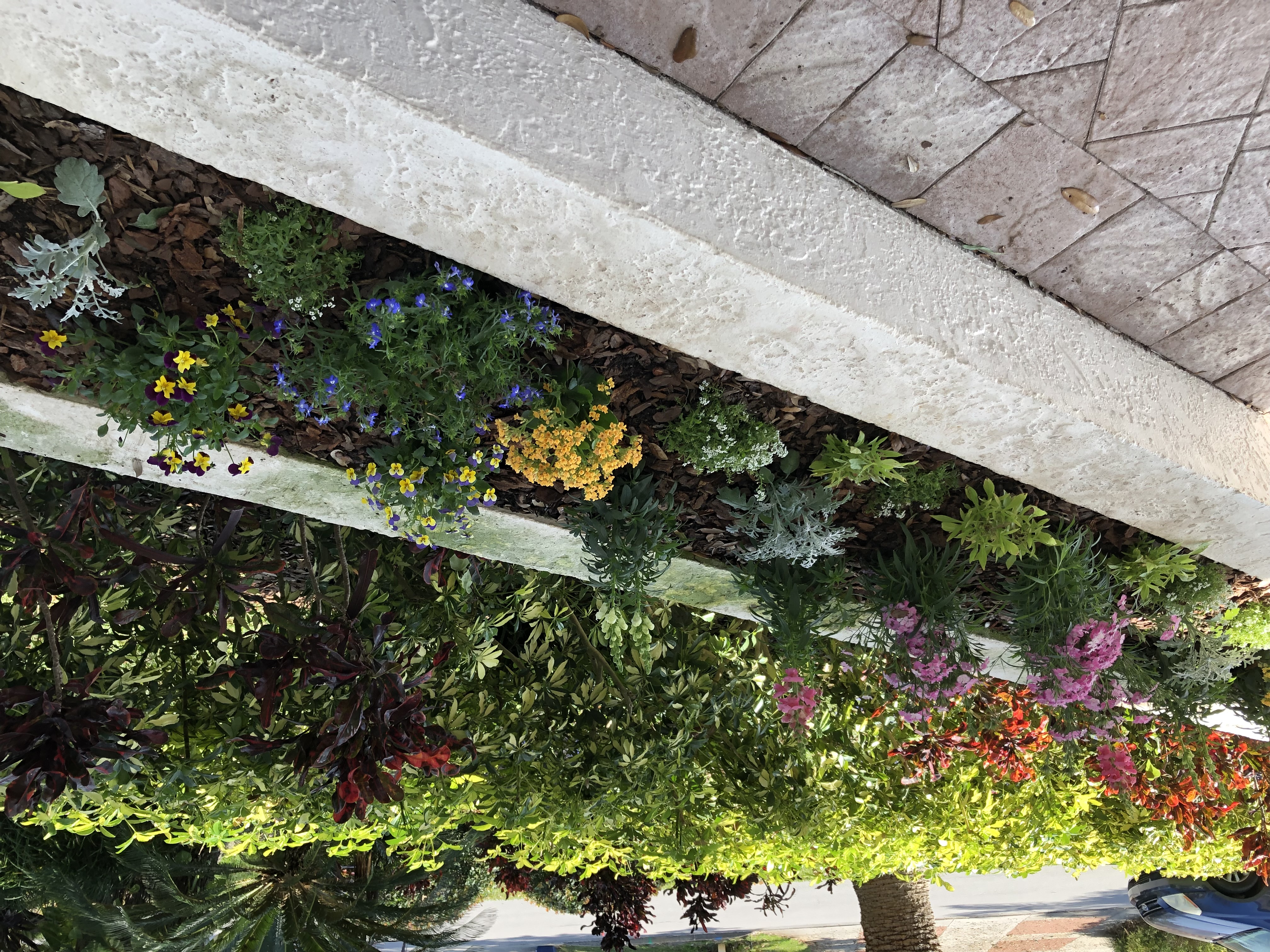 In-ground garden design