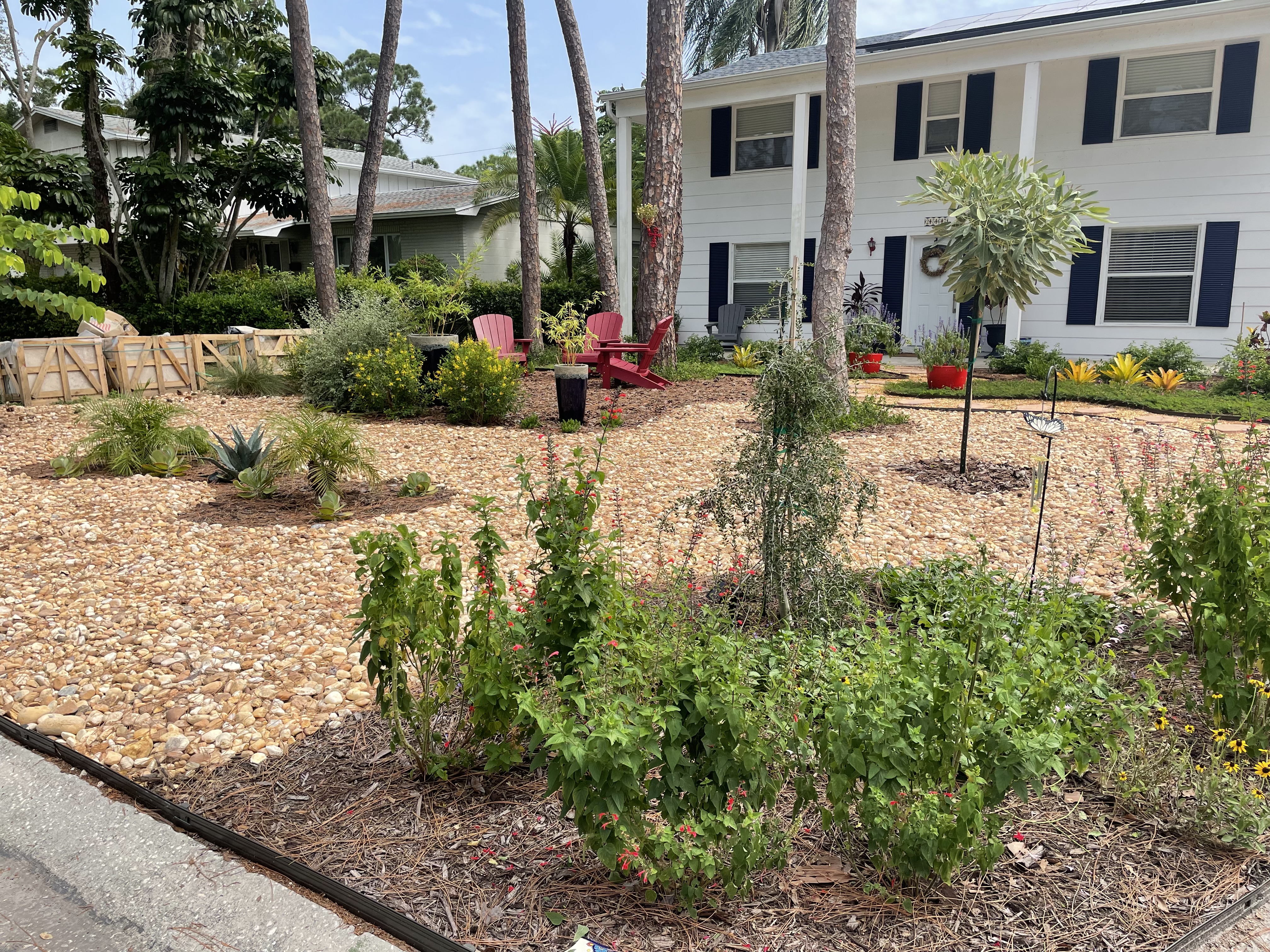 Completed native landscape