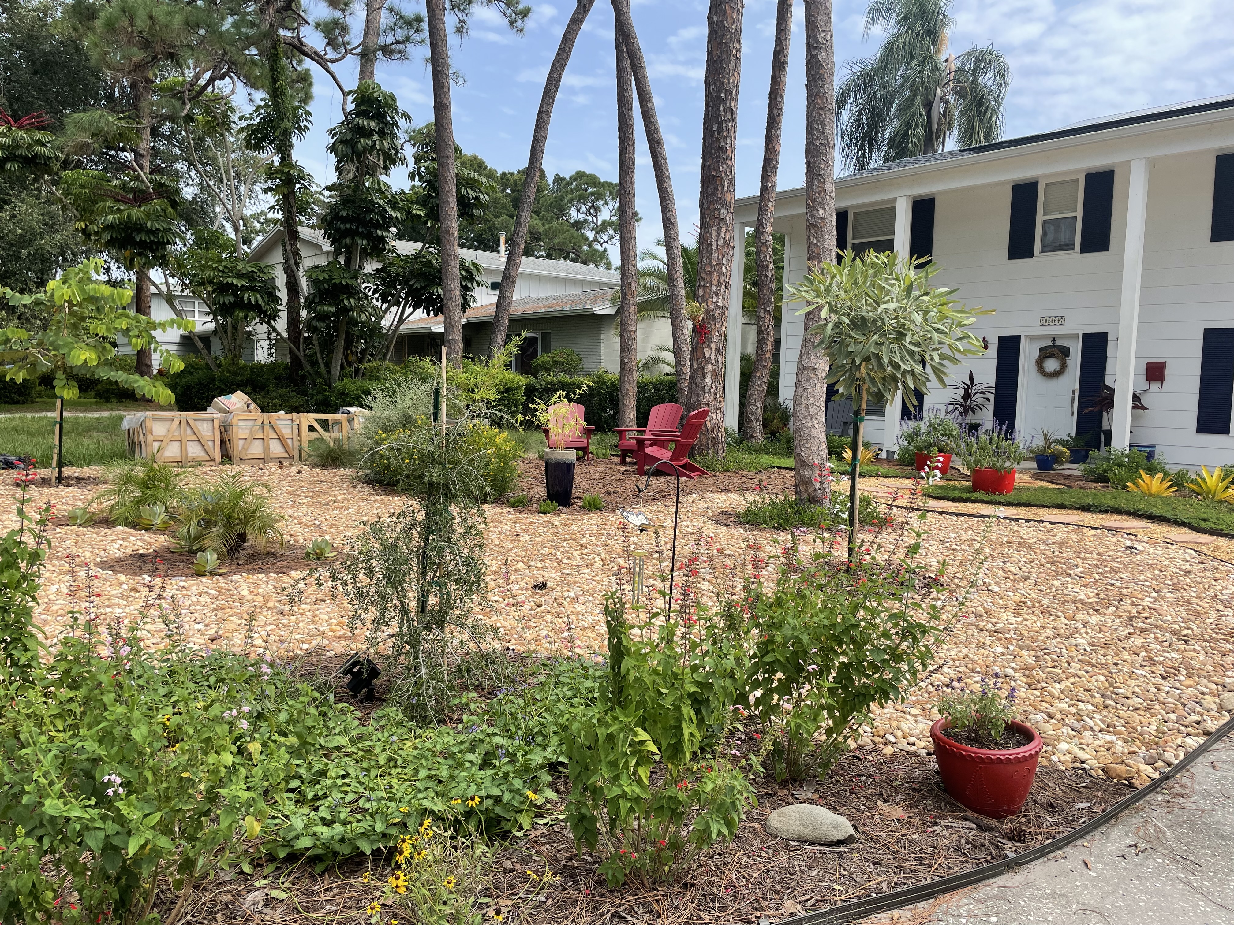 Completed native landscape