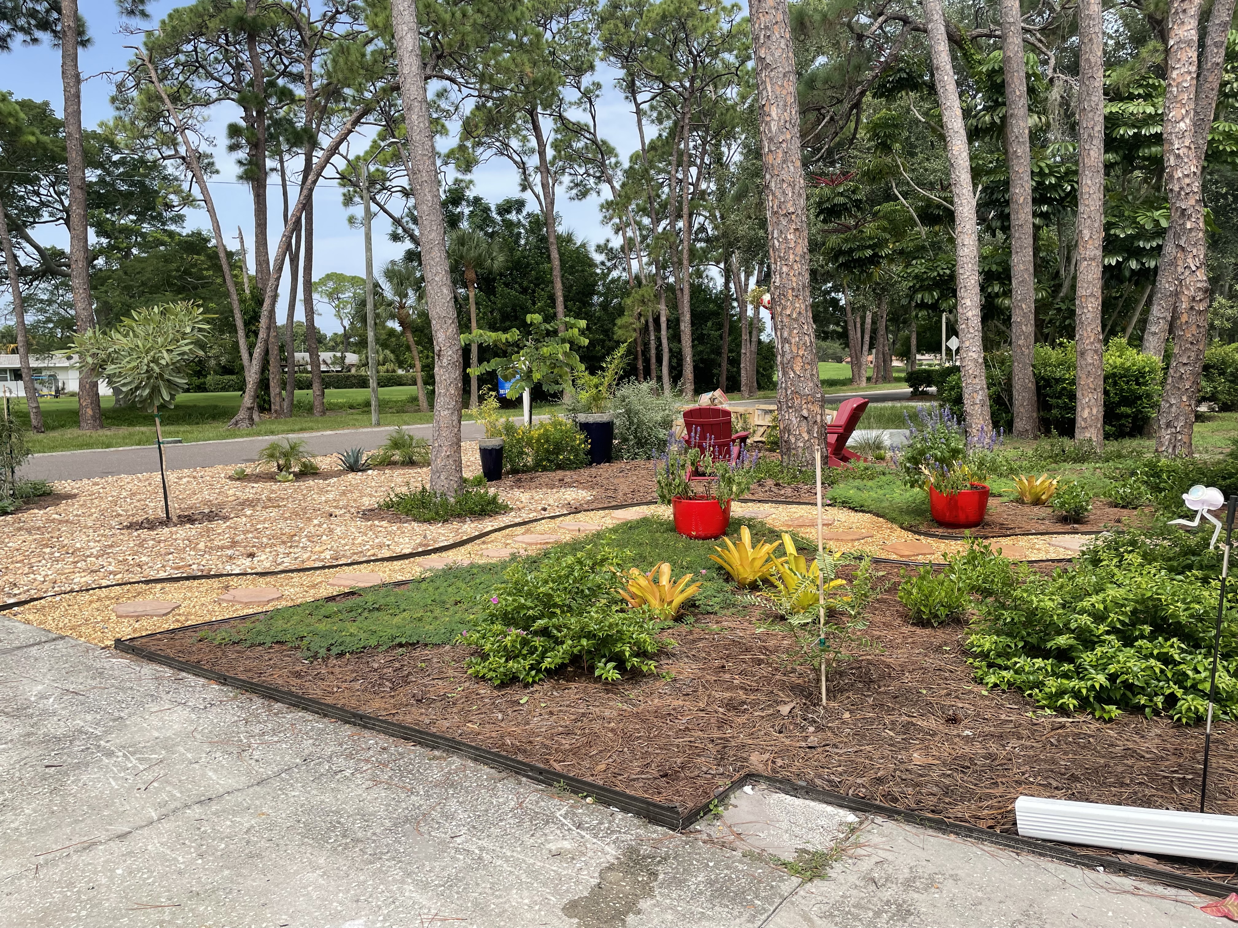 Completed native landscape
