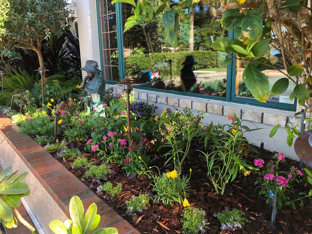 Garden bed with native foliage