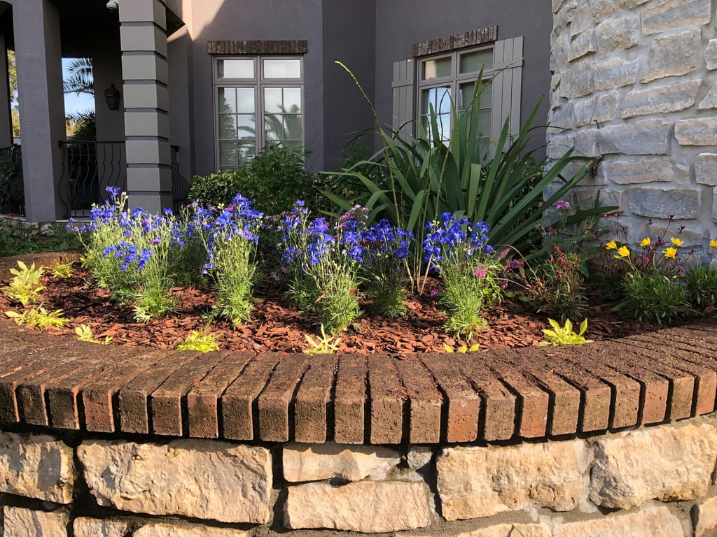 Native foliage palette